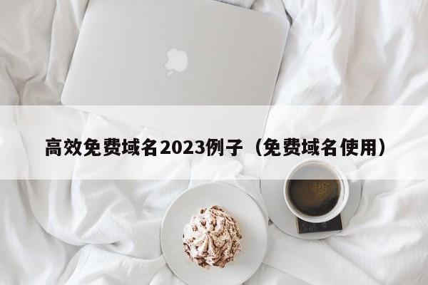 高效免费域名2023例子（免费域名使用）