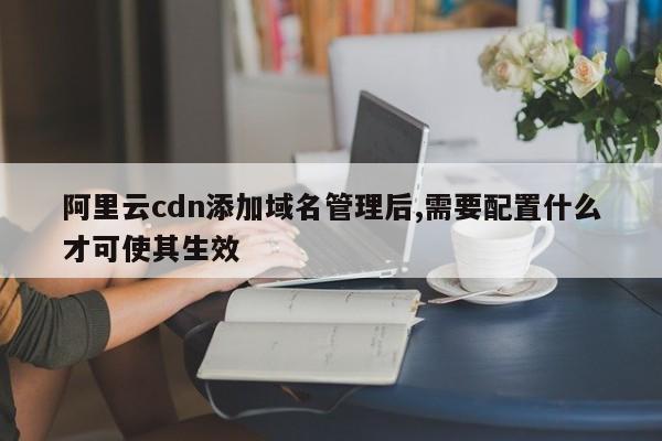 阿里云cdn添加域名管理后,需要配置什么才可使其生效
